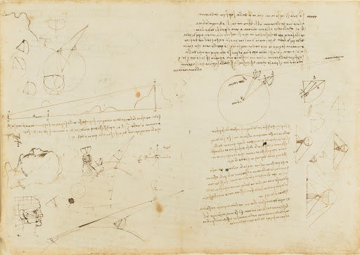 Geometrical and Other Studies Poster | Leonardo da Vinci Art Print (1482)