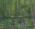 Trees and Undergrowth Poster | Vincent van Gogh Art Print (1887)
