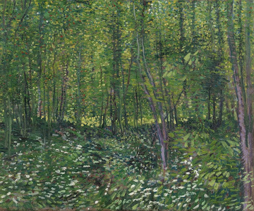 Trees and Undergrowth Poster | Vincent van Gogh Art Print (1887)