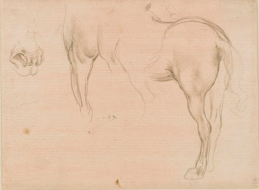 Studies of a Horse II Poster | Leonardo da Vinci Art Print (1490)