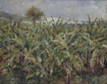 Field of Banana Trees Poster | Pierre-Auguste Renoir Art Print (1881)