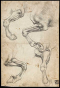 Studies of Horses' Legs Poster | Leonardo da Vinci Art Print (1490)