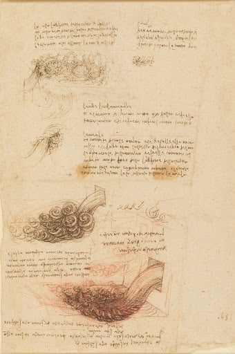Studies of Water III Poster | Leonardo da Vinci Art Print (1510)