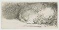 Sleeping Puppy Poster | Rembrandt van Rijn Art Print (1640)