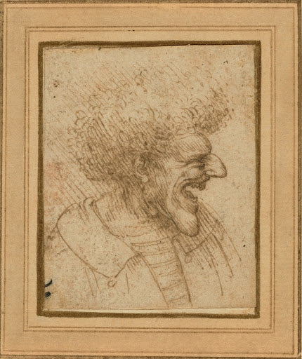 Caricature of a Man with Bushy Hair Poster | Leonardo da Vinci Art Print (1495)