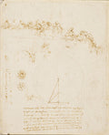 Sketches for the Last Supper and Other Studies Poster | Leonardo da Vinci Art Print (1492)