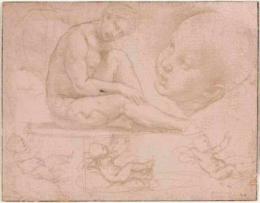 Studies of a Seated Woman and Babies Poster | Raphael Art Print (1507)