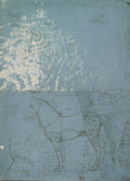 A Horse in Left Profile, with Measurements Poster | Leonardo da Vinci Art Print (1490)
