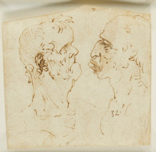 Two Grotesque Profiles Confronted Poster | Leonardo da Vinci Art Print (1485)