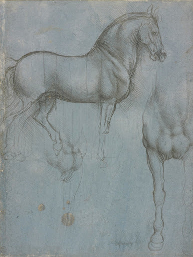 Studies of a Horse Poster | Leonardo da Vinci Art Print (1490)
