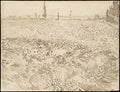 Wheat Field Poster | Vincent van Gogh Art Print (1888)