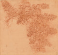 A Branch of Blackberry Poster | Leonardo da Vinci Art Print (1506)