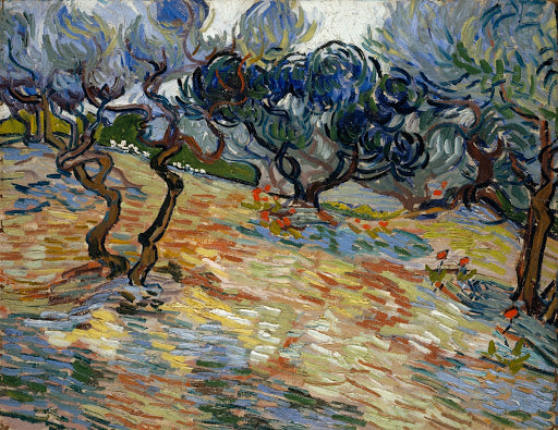 Olive Trees III Poster | Vincent van Gogh Art Print (1889)