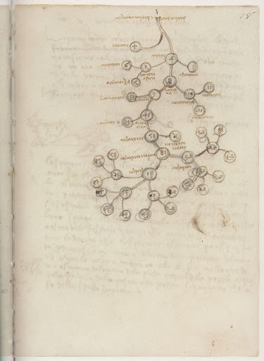 Codex Madrid II Poster | Leonardo da Vinci Art Print (1503)