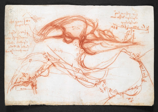 Codex Arundel Folio 149r Poster | Leonardo da Vinci Art Print