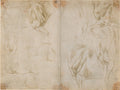 Muscles of a Horse's Front Legs Poster | Leonardo da Vinci Art Print (1480)