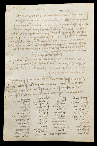 Codex Trivulzianus Page 96 Poster | Leonardo da Vinci Art Print (1487)