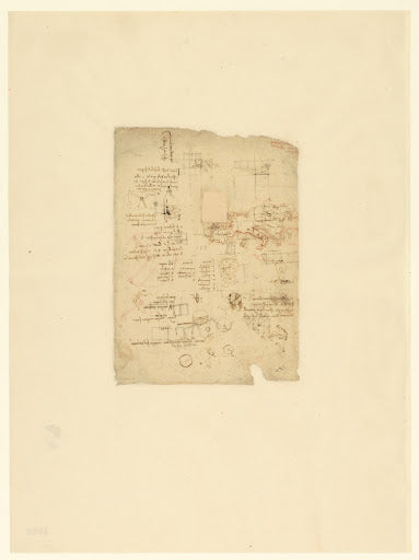 Codex Atlanticus Folio 1006 Verso Poster | Leonardo da Vinci Art Print