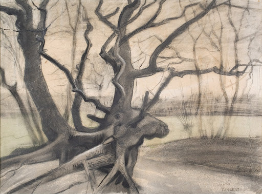 Tree Roots in a Sandy Ground Poster | Vincent van Gogh Art Print (1882)