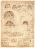 Codex Atlanticus Folio 537 Recto Poster | Leonardo da Vinci Art Print