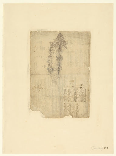 Codex Atlanticus Folio 663 Recto Poster | Leonardo da Vinci Art Print
