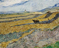 Enclosed Field with Ploughman Poster | Vincent van Gogh Art Print (1889)