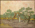 Women Picking Olives Poster | Vincent van Gogh Art Print (1889)