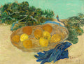 Still Life of Oranges and Lemons with Blue Gloves Poster | Vincent van Gogh Art Print (1889)