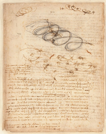Codex Atlanticus Folio 845 Recto Poster | Leonardo da Vinci Art Print