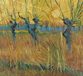 Pollard Willows at Sunset Poster | Vincent van Gogh Art Print