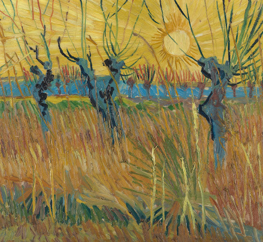 Pollard Willows at Sunset Poster | Vincent van Gogh Art Print