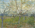The Pink Orchard Poster | Vincent van Gogh Art Print (1888)