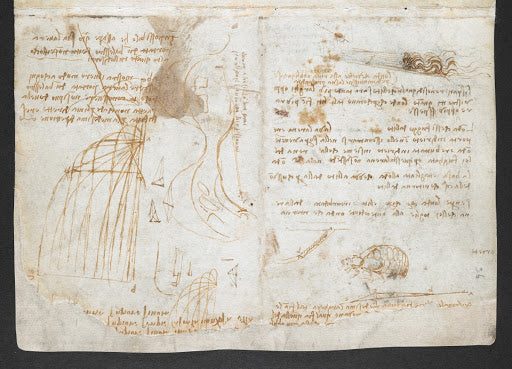 Codex Arundel Folio 36r Poster | Leonardo da Vinci Art Print