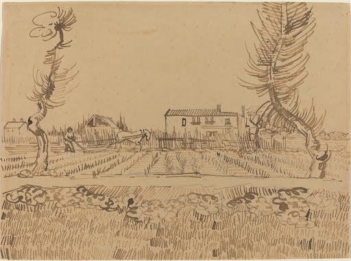 Ploughman in the Fields Near Arles Poster | Vincent van Gogh Art Print (1888)