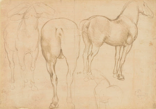 Studies of a Horse III Poster | Leonardo da Vinci Art Print (1490)