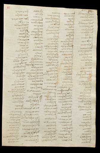 Codex Trivulzianus Page 85 Poster | Leonardo da Vinci Art Print (1487)