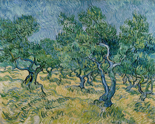 Olive Grove II Poster | Vincent van Gogh Art Print (1889)