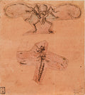 Studies of Insects Poster | Leonardo da Vinci Art Print (1480)