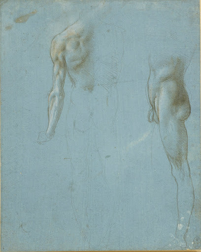Two Studies of a Standing Male Nude Poster | Leonardo da Vinci Art Print (1490)