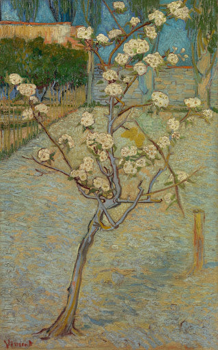 Small Pear Tree in Blossom Poster | Vincent van Gogh Art Print (1888)