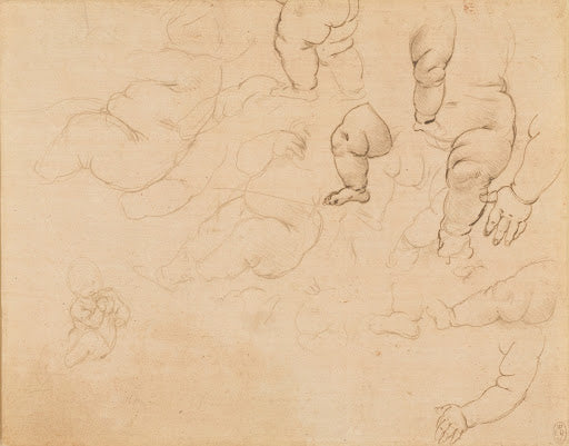 Studies of an Infant III Poster | Leonardo da Vinci Art Print (1490)