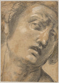 Study of a Man's Head Poster | Raphael Art Print