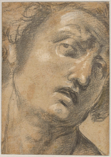 Study of a Man's Head Poster | Raphael Art Print