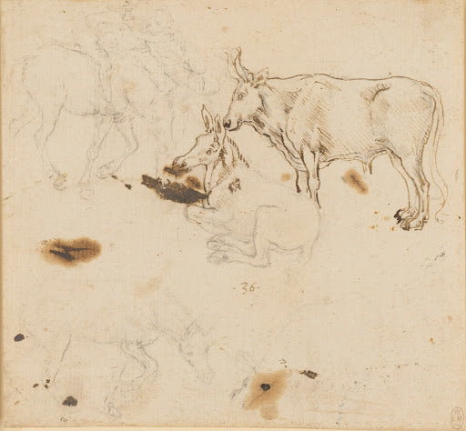 An Ox and Ass, and Other Studies of Asses Poster | Leonardo da Vinci Art Print (1478)