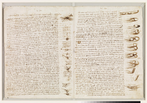 Codex Leicester Folio 13v Poster | Leonardo da Vinci Art Print (1506)