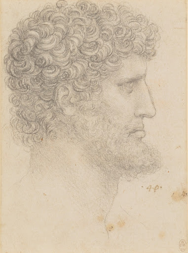The Head of a Bearded Man Poster | Leonardo da Vinci Art Print (1517)