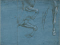 Studies of a Horse's Front Legs Poster | Leonardo da Vinci Art Print (1490)
