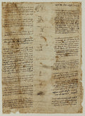 Tales and Humorous Pieces Poster | Leonardo da Vinci Art Print (1490)
