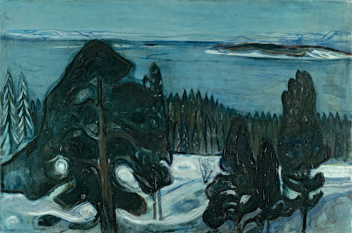 Winter Night Poster | Edvard Munch Art Print (1900)