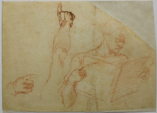 Studies for the Punishment of Haman Poster | Michelangelo Art Print (1511)